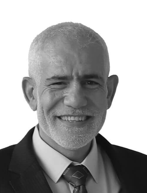 Aboulfetouh-Shalaby (1)